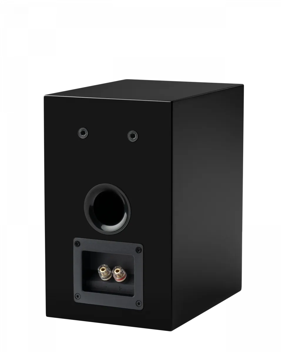 Pro-Ject Speaker Box 5 E Carbon - Seidenmatt GrĂĽn - HiFi Stereo Lautsprecher