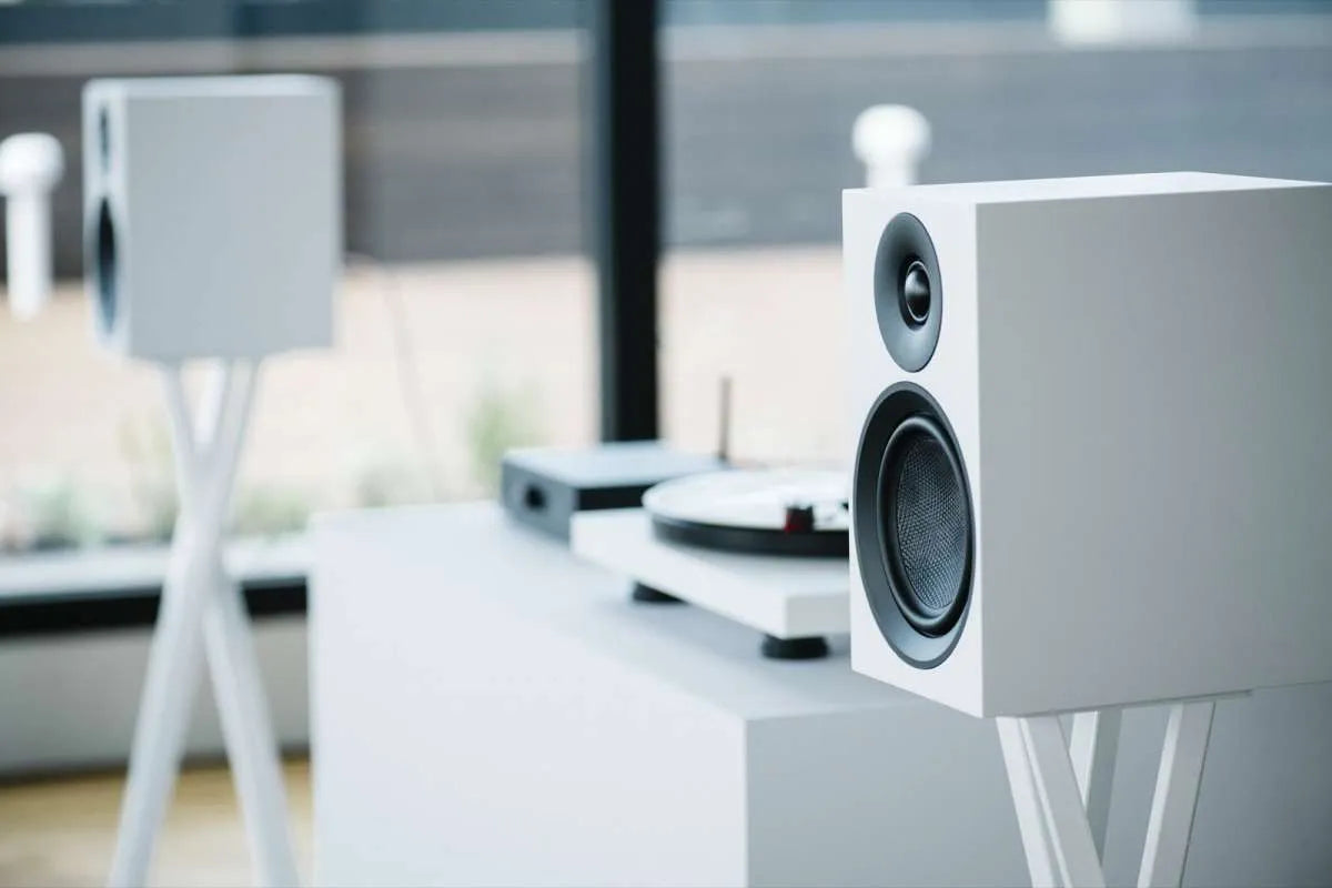 Pro-Ject Speaker Box 5 E Carbon - HiFi Stereo Lautsprecher
