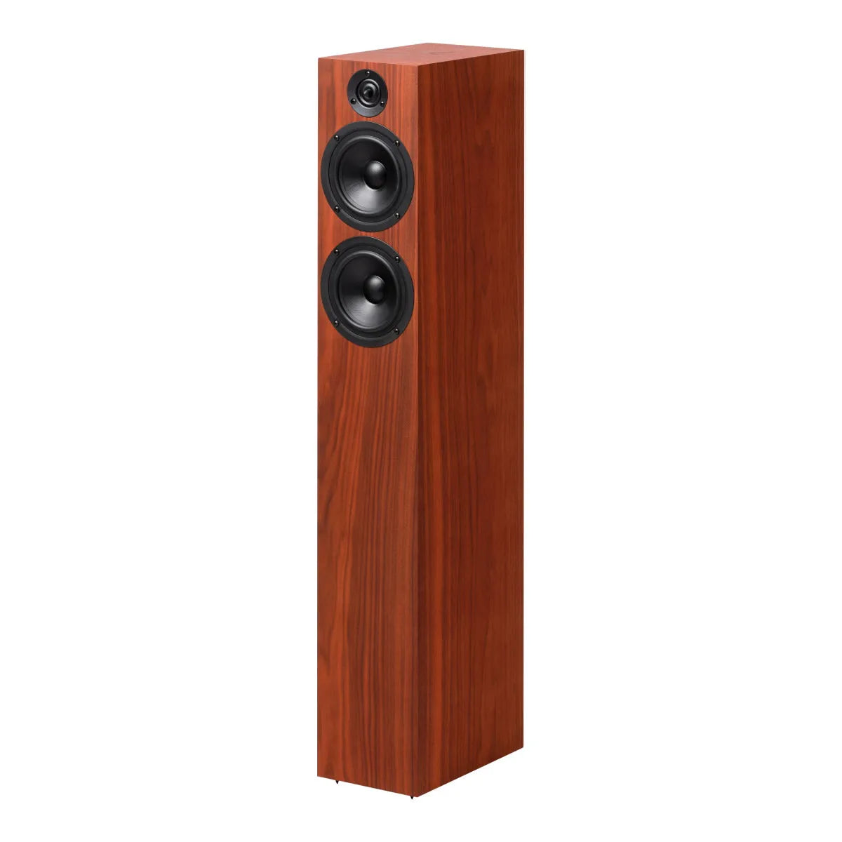 Pro-Ject Speaker Box 15 DS2 - Eukalyptus seidenmatt - HiFi Stereo Lautsprecher